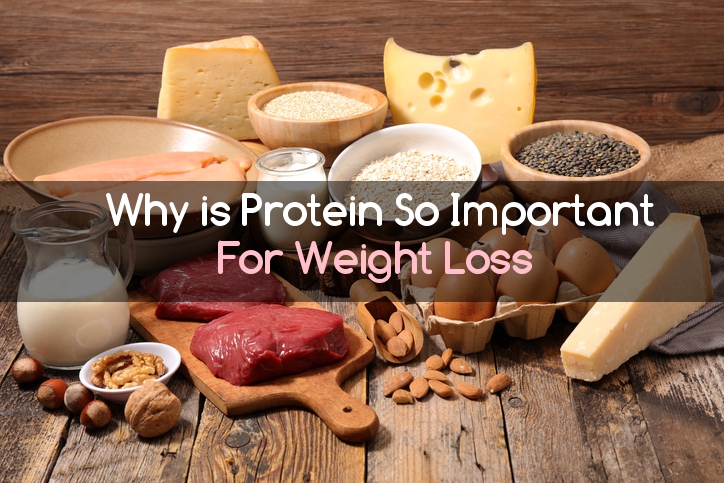 why-protein-is-important-for-weight-loss
