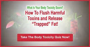 your-body-toxicity-score